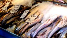 Impacto: mujer comió pescado en mal estado y amputaron sus cuatro extremidades