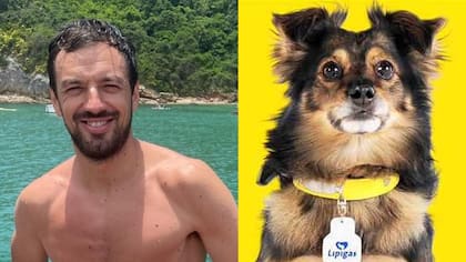 “Tenía un cariño especial”: Tomás Vodanovic bromeó y se lanzó contra Spike por llamado de app de Lipigas a votar por Kast