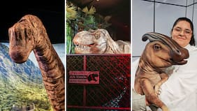 Jurassic World: The Experience, un recorrido para grandes y chicos que trae a la vida a los dinosaurios