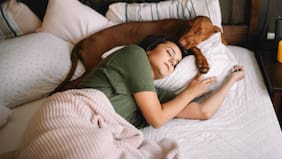 Al igual que los humanos, los perros también se ven afectados por el estrés a la hora de dormir