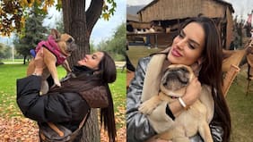 Las horas más críticas de Adriana Barrientos: su perrita lucha contra la vida y la muerte