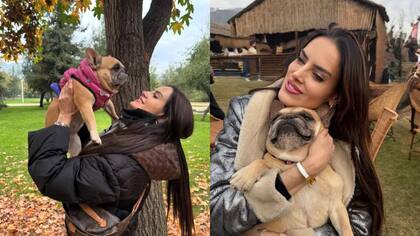 Las horas más críticas de Adriana Barrientos: su perrita lucha contra la vida y la muerte