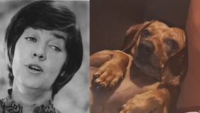 “Perro salchicha, gordo bachicha...”: la fascinante historia de María Elena Walsh, la creadora de la viral y tierna canción que contagia las redes