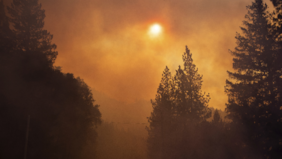 Más de 200 desaparecidos por el peor incendio forestal registrado en California