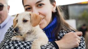 Chicureo Pet Christmas: La adopción, uno de los mejores regalos para esta Navidad
