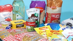 Conoce los abarrotes que no pueden faltar en tu hogar