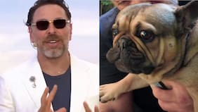 José Antonio Neme regresó a Viña y pidió energía positiva para su perro Frodito: “Está luchando por su vida”