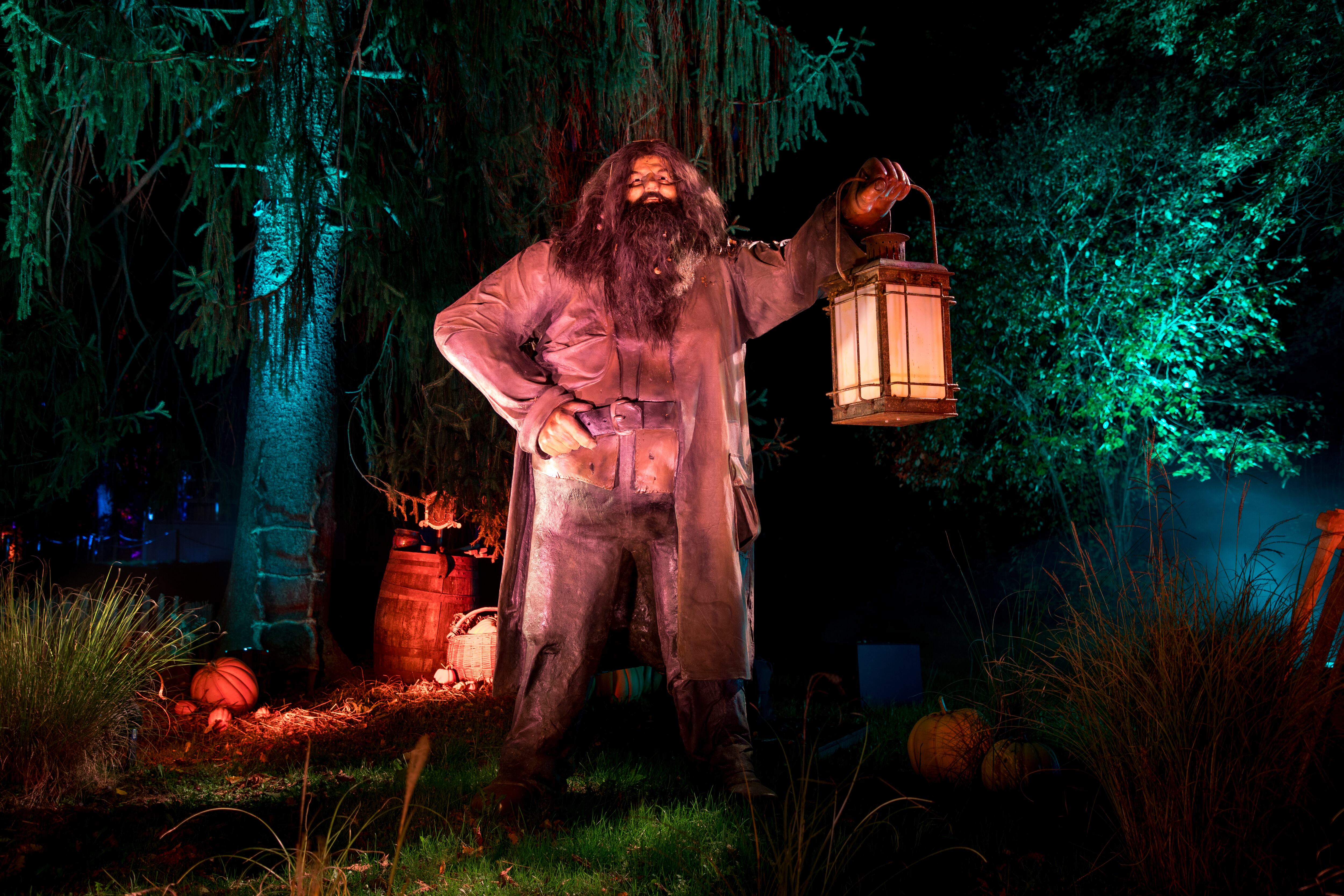 "Harry Potter: la experiencia del Bosque Prohibido", Fever