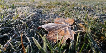 Heladas referencial archivo