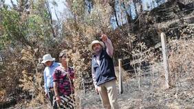 Agricultores afectados por incendios en La Araucanía reciben primeras ayudas