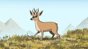 “Casi no ha sido estudiada”: los enigmas y amenazas detrás de la Taruka, el “desconocido” pariente nortino del huemul