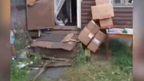 Un adulto y una niña de 12 años fueron detenidos por canibalismo