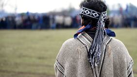 “Un aporte para la sociedad”: chileno desarrolla el primer traductor en línea de mapudungún