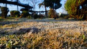 Vuelven las heladas matinales: Comunas que despertaran con bajas temperaturas