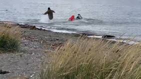 Dramático: carabineros rescatan a joven que intentó quitarse la vida en el Estrecho de Magallanes