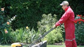 Elección y uso adecuado de las herramientas de jardinería