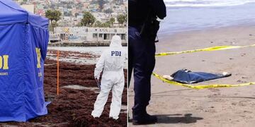 Descuartizado en Coquimbo