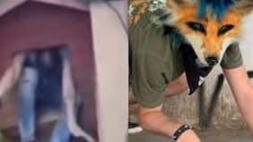 ¿El primer delincuente therian? Antisocial se escondió en casa de perro en Valdivia