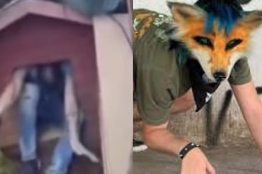 ¿El primer delincuente therian? Antisocial se escondió en casa de perro en Valdivia
