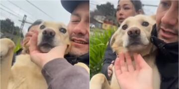 Lucía, mascota de profesor universitario fallecido