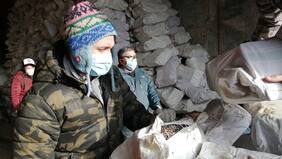 Fundación presidida por Rodrigo Wainraihgt realiza campaña para donar sacos de leña a familias vulnerables de la Región de Los Lagos