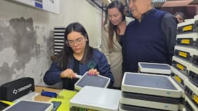 Así puedes postular al Fondo Crece: Subsidio de $5 millones para pequeñas y micro empresas