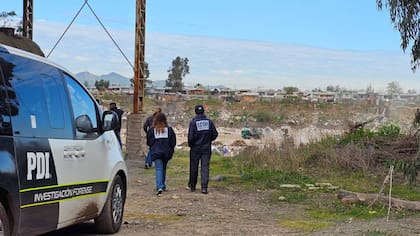 Pillaron a un perro con pierna humana: amplio operativo en La Florida tras macabro hallazgo en sitio eriazo