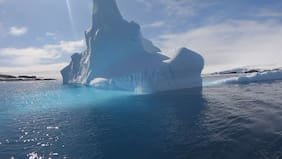 Calor histórico pone en riesgo la flora y fauna de la Antártica
