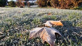 Ola polar en Santiago: ¿hasta cuándo durarán las heladas matinales?