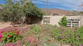 Hasta el agua del lavamanos se usa para regar