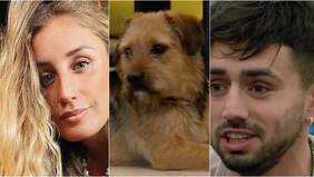 “Que no me venga con cuentos”: Dani Castro arremetió contra Bambino por mea culpas sobre Bigote