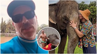 José Antonio Neme alzó la voz y respondió a críticas por postales con elefantes en Tailandia: “Participé de un acto que me pareció muy lindo”