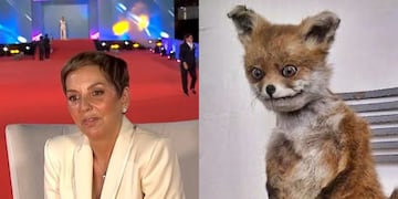 Fran García-huidobro