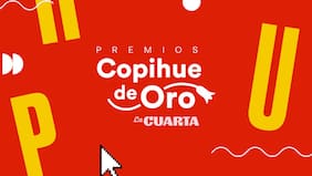 Estos son los nominados y nominadas al Copihue de Oro 2022