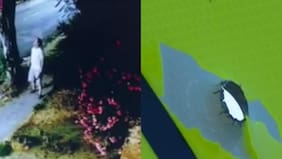 Vecino salió armado a pasear a su perro en La Reina y disparó a señaléticas