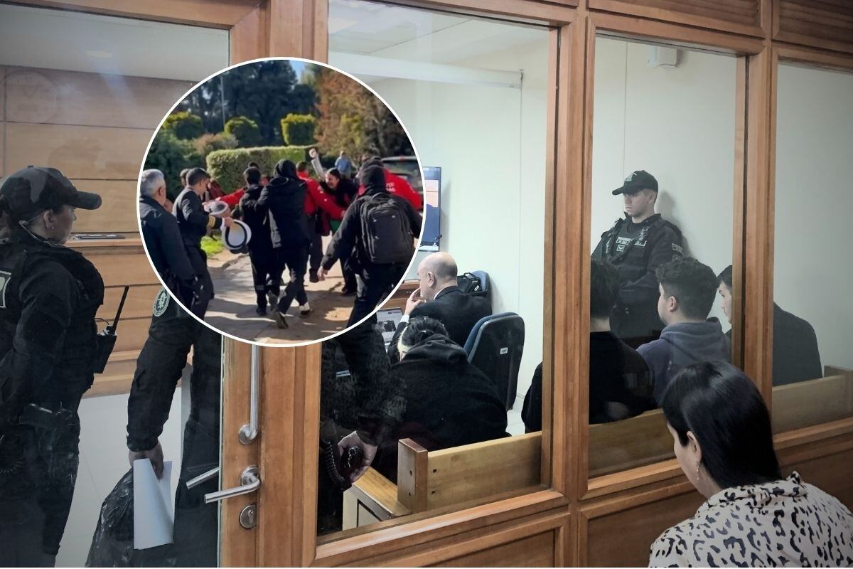 Formalizan a detenidos por agresión a ministra Lincolao.