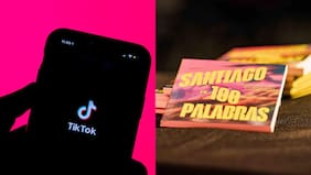 ¿Qué inspira a los chilenos?: “Tik Tok” es la palabra del año según análisis de Santiago en 100 palabras