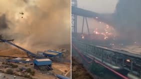 “¡Está la cag...!”: Incendio forestal alcanza instalaciones de Celulosa Nueva Aldea en Ñuble