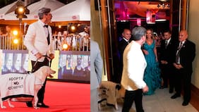 Prohibieron entrar a la cena a diseñador que desfiló con su perrita en la gala de Viña