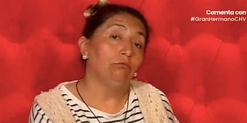 Pincoya - Gran Hermano