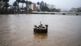 Activan mensajería SAE y llaman a evitar ribera de Estero Marga Marga en Viña del Mar