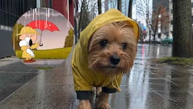 Se adelantan las lluvias: conoce cuando caen las primeras gotas en la capital