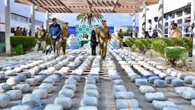 “Estamos hablando de casi $11 mil millones en droga”: Carabineros incauta casi una tonelada de marihuana en Coquimbo