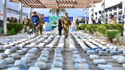 “Estamos hablando de casi $11 mil millones en droga”: Carabineros incauta casi una tonelada de marihuana en Coquimbo