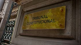 TC declaró inconstitucional el artículo contra el negacionismo