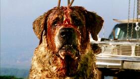 La nueva adaptación de Cujo de Stephen King que hará Netflix tiene en la mira a Darren Aronofsky