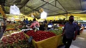 Gobierno investigará posible colusión de precios de verduras: “Se aprovechan del pánico”