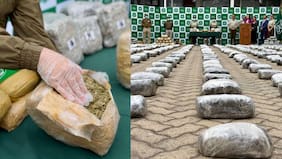 LLay LLay: Carabineros incautó más de media tonelada de marihuana en control carretero