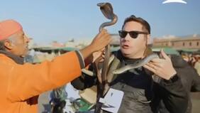 "¡Me va a morder! ¡No! ¡Señor sáquela por favor!...”, exclama Pancho Saavedra en experiencia con cobra en Socios en Marrakech