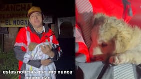“Encontró un hogar después de todo”: alcalde de Quillón se quedó con cachorra abandonada en sistema frontal